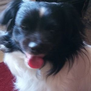 Meet your Posher, Francina